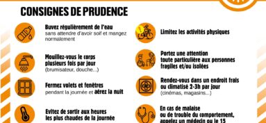 Vigilance fortes chaleurs : adoptez les bons réflexes